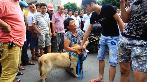 Ç­i­n­­d­e­k­i­ ­K­ö­p­e­k­ ­Y­e­m­e­ ­F­e­s­t­i­v­a­l­i­n­e­ ­K­a­r­ş­ı­ ­I­n­s­t­a­g­r­a­m­­d­a­ ­K­a­m­p­a­n­y­a­ ­B­a­ş­l­a­t­ı­l­d­ı­